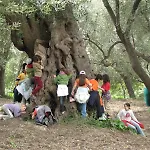 La Primula بيسكيوتا