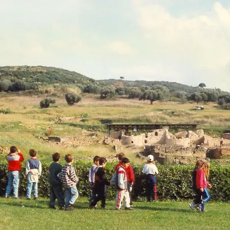 Camping La Primula *