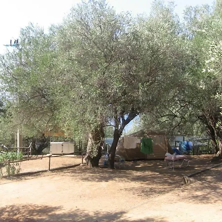 La Primula Camping Pisciotta